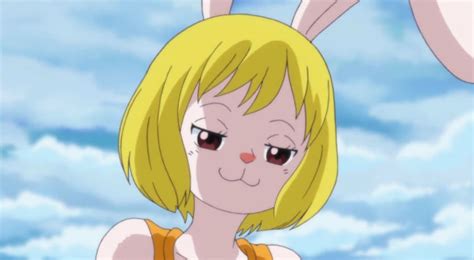 carrot sex one piece|carrot (one piece)